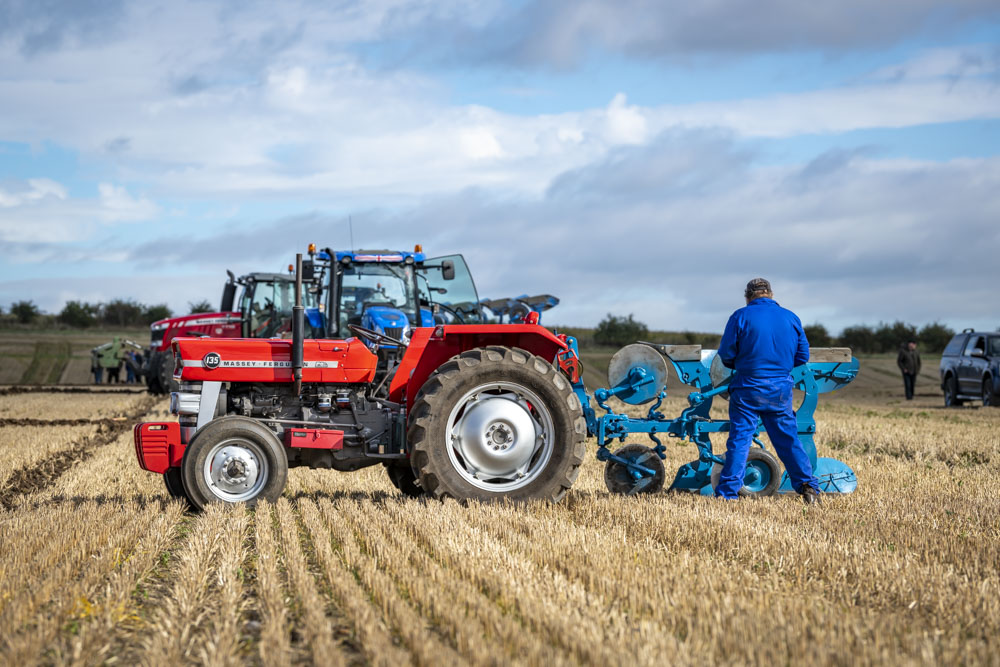 Massey Ferguson 135 with blue plough