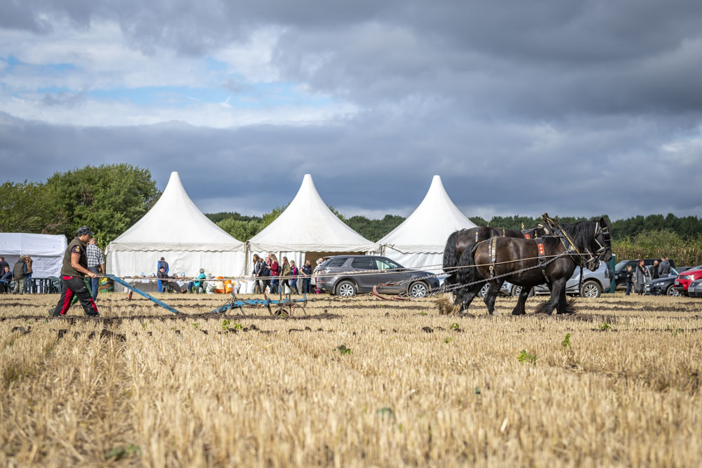 Horse plough and marquees
