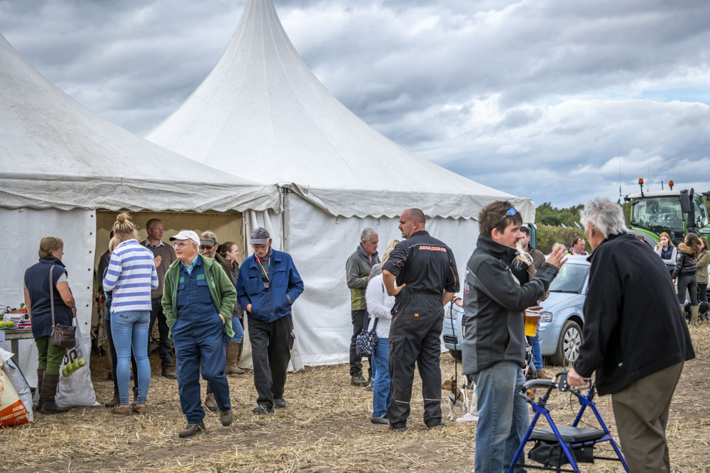 Visitors by the marquees